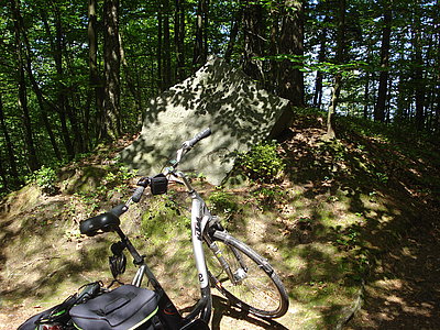 Ein Mountainbike auf einem Waldweg im Bayerischen Wald nahe Zenting für Aktivurlaub auf der Trans Bayerwald.