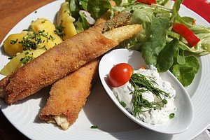 Knuspriges Spargel-Cordon-Bleu mit cremigem Kräuterdip und knackigem Salat als Frühlings-Schmankerl im Wirtshaus Neuhof.